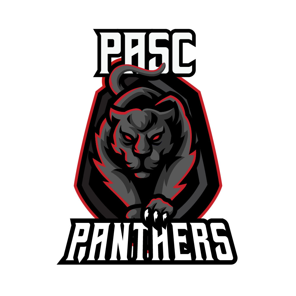 Panther Mascot Esports Logo_v3-01